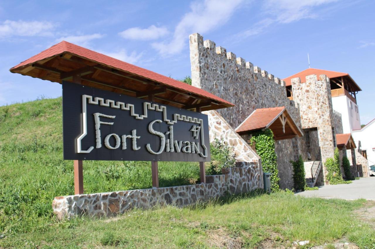 Pensiunea Kemsilvanum Fort Silvan Camar Экстерьер фото