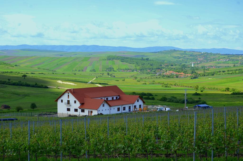 Pensiunea Kemsilvanum Fort Silvan Camar Экстерьер фото